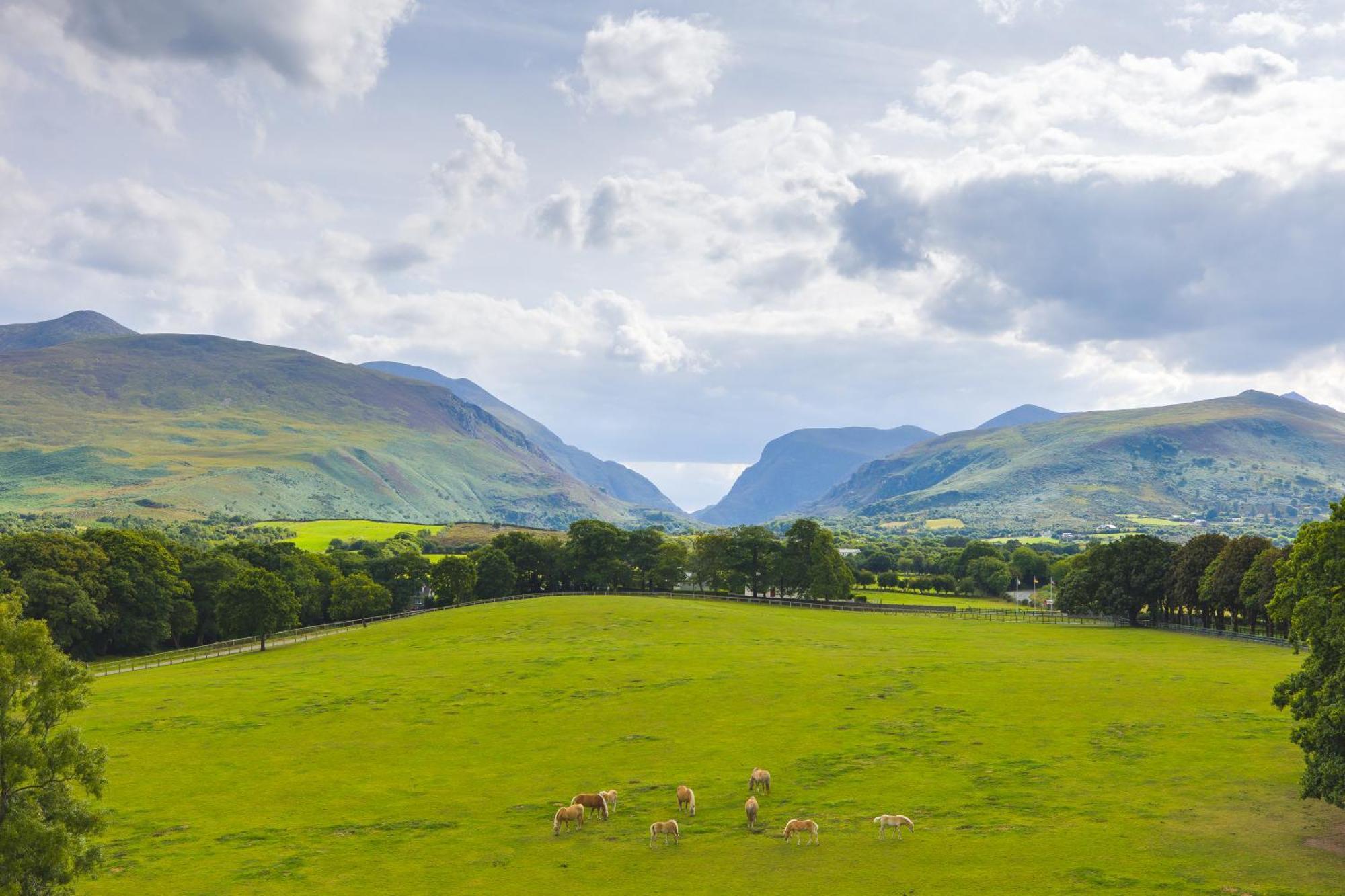 The Dunloe Hotel & Gardens Beaufort Exterior photo